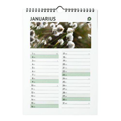 Wandkalender mit Spiralbindung, DIN A4, 4/0-farbig 3